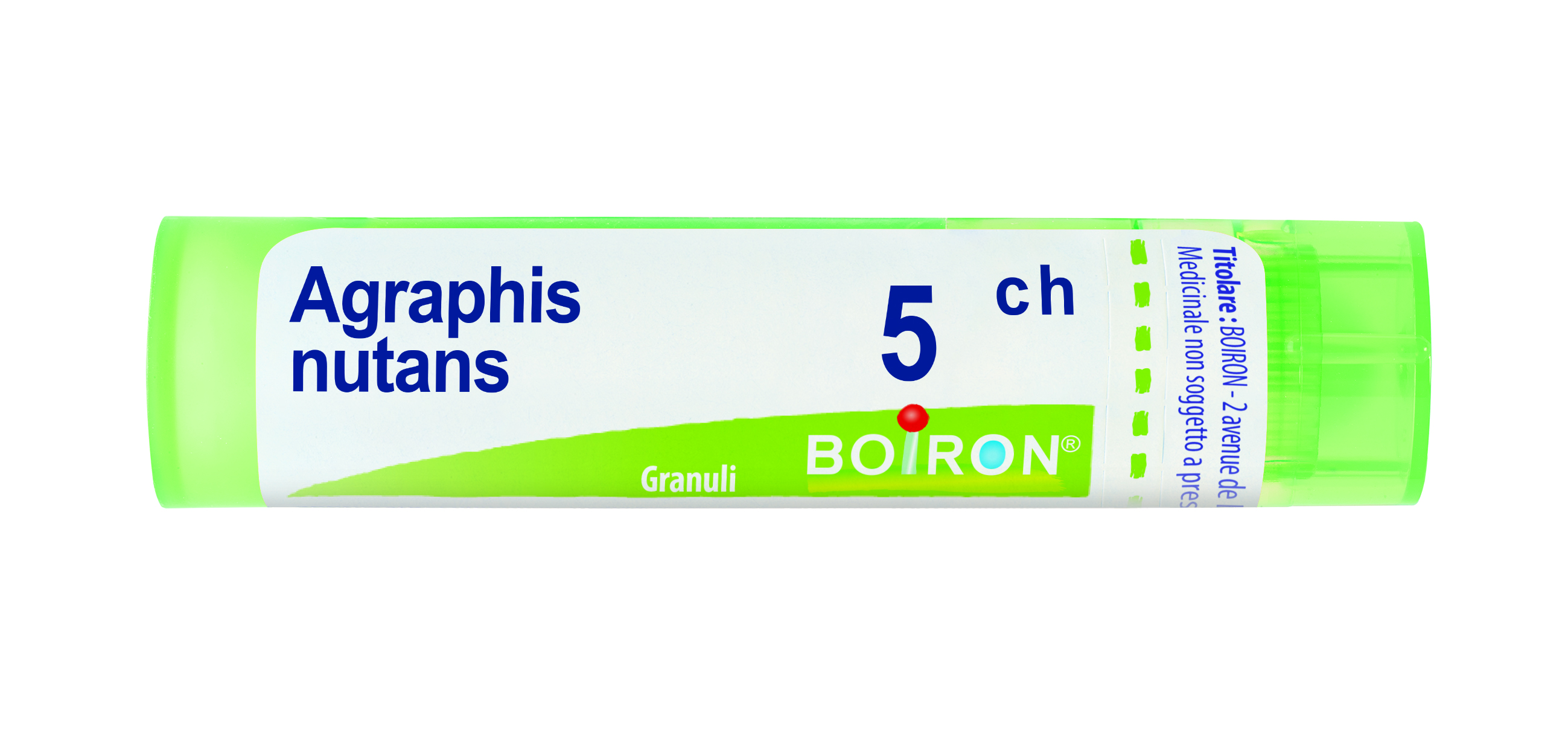 AGRAPHIS NUTANS*5CH 80GR 4G - Antica Farmacia Ferrari