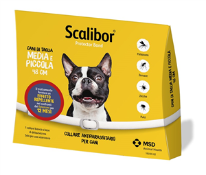 SCALIBOR PROTECTOR BAND*BI48CM - Antica Farmacia Ferrari