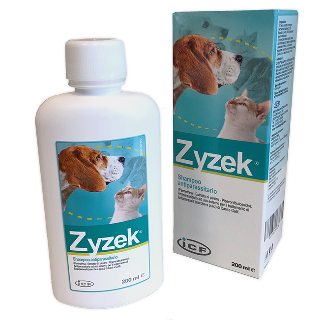 ZYZEK SHAMPOO ANT*FL PE 200ML - Antica Farmacia Ferrari