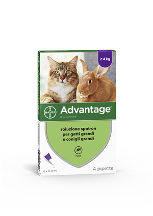 ADVANTAGE*4PIP 0,8ML SPOTON - Antica Farmacia Ferrari
