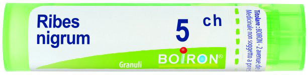 RIBES NIGRUM 5CH GRANULI - Antica Farmacia Ferrari