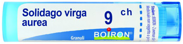 SOLIDAGO VIRGA AUREA 9CH GRANULI - Antica Farmacia Ferrari