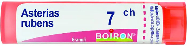 ASTERIAS RUBENS 7CH GRANULI - Antica Farmacia Ferrari