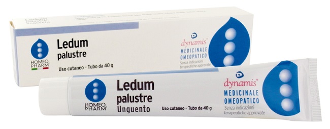LEDUM PALUSTRE HOMEOPHARM UNGUENTO 40 G - Antica Farmacia Ferrari