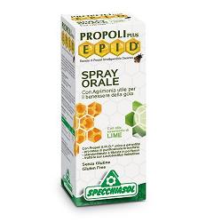EPID SPRAY LIME 15 ML - Antica Farmacia Ferrari