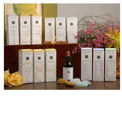 ZEF12 BELSON PLANT STV - Antica Farmacia Ferrari