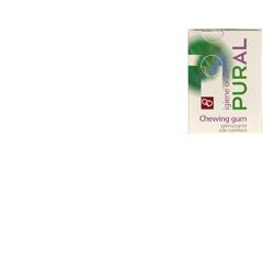 PURAL CHEWING GUM 14 G IGIENIZZANTE - Antica Farmacia Ferrari
