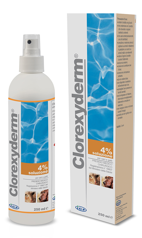 CLOREXYDERM SOLUZIONE 4% 250 ML - Antica Farmacia Ferrari