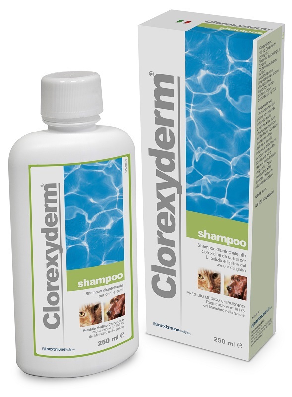 CLOREXYDERM SHAMPOO 250 ML - Antica Farmacia Ferrari