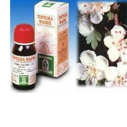 BIANCOSPINO 10 50ML TM - Antica Farmacia Ferrari