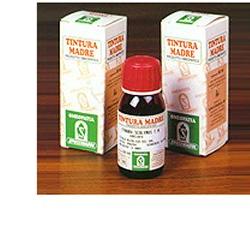 PUNGITOPO 24 50ML TM - Antica Farmacia Ferrari