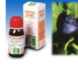 MIRTILLO 31 50ML TM - Antica Farmacia Ferrari