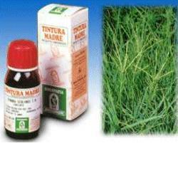 GRAMIGNA 37 50ML TM - Antica Farmacia Ferrari