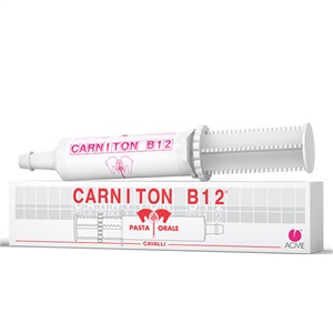 CARNITON B 12 PASTA 1 SIRINGA 100 G - Antica Farmacia Ferrari