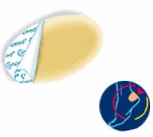 COMPEED VESCICHE CEROTTI FORMATO MEDIO 5 PEZZI - Antica Farmacia Ferrari