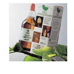 ROSA CANINA 100ML MG - Antica Farmacia Ferrari