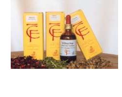 RIBES GEMME 100ML MG - Antica Farmacia Ferrari