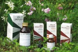 RAEMIL ROSMARINO OLIO 25 ML - Antica Farmacia Ferrari