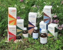 RAEMIL PROPOLI COMPOSTO 15 ML - Antica Farmacia Ferrari