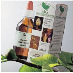 BETULLA 100ML MG - Antica Farmacia Ferrari