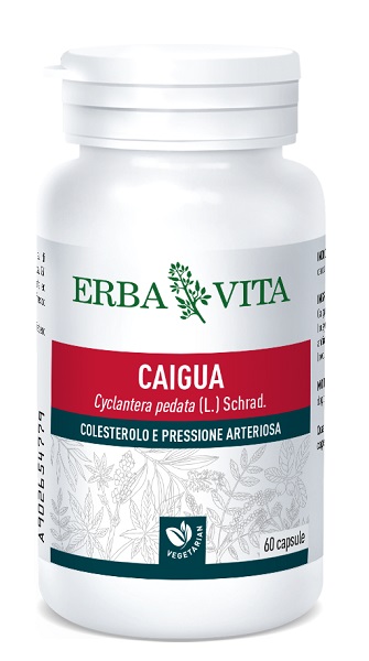 CAIGUA 60 CAPSULE 400 MG - Antica Farmacia Ferrari