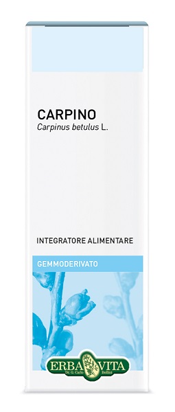 GEMMODERIVATO CARPINO 50 ML - Antica Farmacia Ferrari