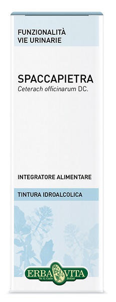 SPACCAPIETRA TINTURA IDROALCOLICA 50 ML EBV - Antica Farmacia Ferrari