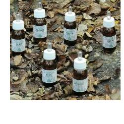 ZEABEL OLIO MASSAGGIO 50 ML - Antica Farmacia Ferrari