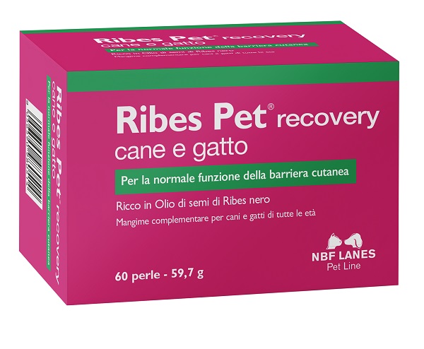 RIBES PET RECOVERY BLISTER 60 PERLE - Antica Farmacia Ferrari