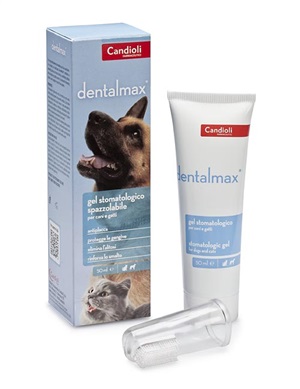DENTALMAX GEL STOMATOLOGICO 50 ML - Antica Farmacia Ferrari
