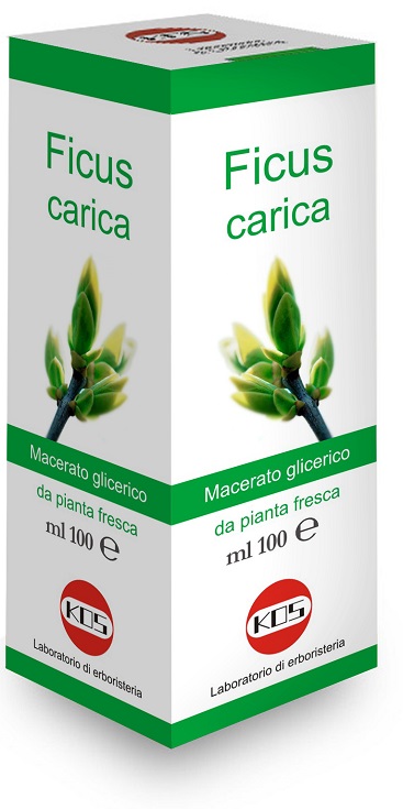 FICUS CARICA MG 100 ML GOCCE - Antica Farmacia Ferrari