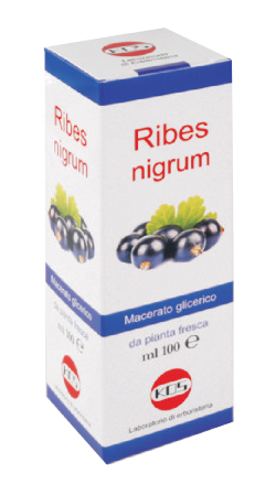 RIBES NIGRUM MG 100 ML GOCCE - Antica Farmacia Ferrari
