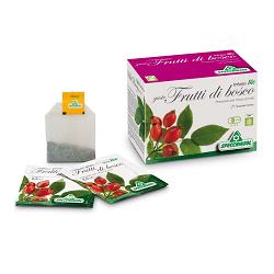 INFUSO BIO FRUTTA FRUTTI DI BOSCO 20 FILTRI - Antica Farmacia Ferrari