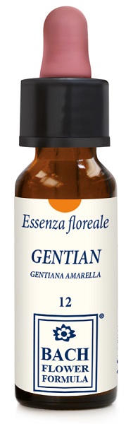 GENTIAN ORIGINAL 10 ML GOCCE - Antica Farmacia Ferrari