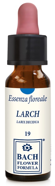 LARCH ORIGINAL GOCCE 10 ML - Oltrefarma