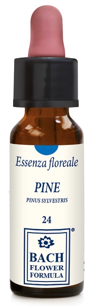 PINE ORIGINAL GOCCE 10 ML - Oltrefarma