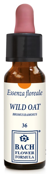 WILD OAT ORIGINAL 10 ML GOCCE - Antica Farmacia Ferrari
