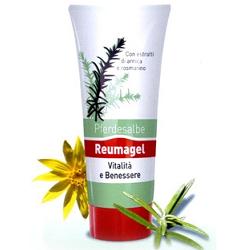 RECOVER GEL PFERDESALBE 200 ML - Antica Farmacia Ferrari