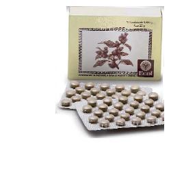 CIMICIFUGA 50 TAVOLETTE 500 MG - Antica Farmacia Ferrari