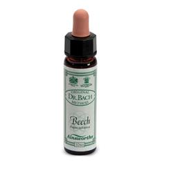 AINSWORTHS BEECH 10ML - Antica Farmacia Ferrari