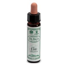 AINSWORTHS ELM 10ML - Antica Farmacia Ferrari