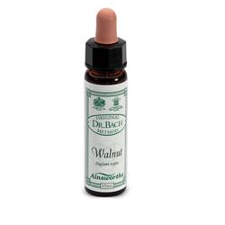AINSWORTHS WALNUT 10ML - Antica Farmacia Ferrari