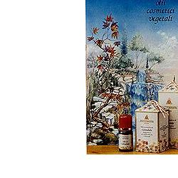 CALENDULA OLIO 100ML - Antica Farmacia Ferrari