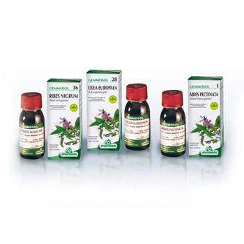 GEMMOSOL 46 TIGLIO ARGEN 50ML - Antica Farmacia Ferrari