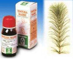 EQUISETO 12 50ML TM - Antica Farmacia Ferrari