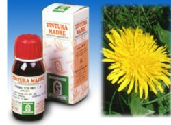 TARASSACO 28 50ML TM - Antica Farmacia Ferrari