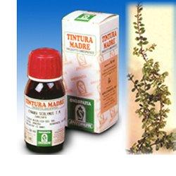 UVA URSINA 30 50ML TM - Antica Farmacia Ferrari