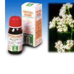 VALERIANA 36 TINTURA MADRE 50 ML - Antica Farmacia Ferrari