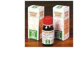 ERISIMO 61 50ML TM - Antica Farmacia Ferrari