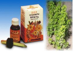 MENTA OLIO ESSENZIALE PURO 10 ML - Antica Farmacia Ferrari